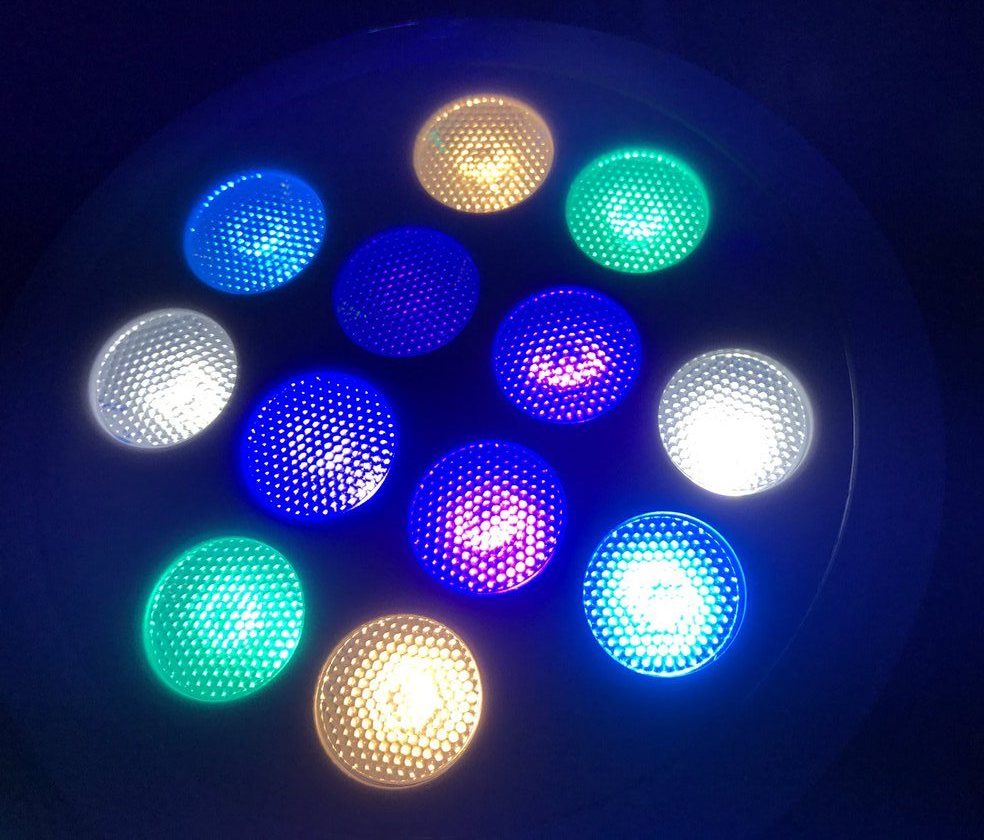 LEDでサンゴ飼育｜おすすめシステムLED5選 | ALL BLUE