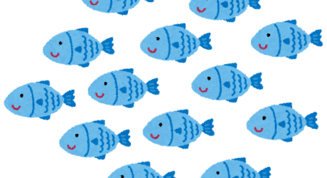 10選 飼育初心者におすすめの海水魚 All Blue