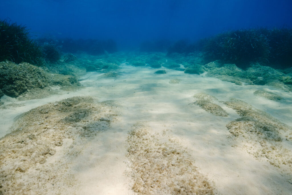 海底の写真