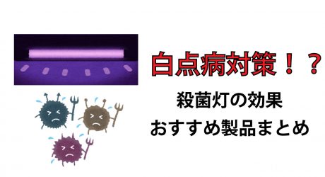 白点病対策 海水水槽における殺菌灯の効果とは All Blue
